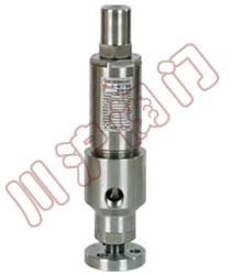 ��ȫ�����y