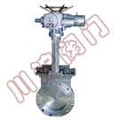 PZ973�����l�y