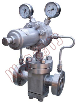 YK43F�߉����w�p���y